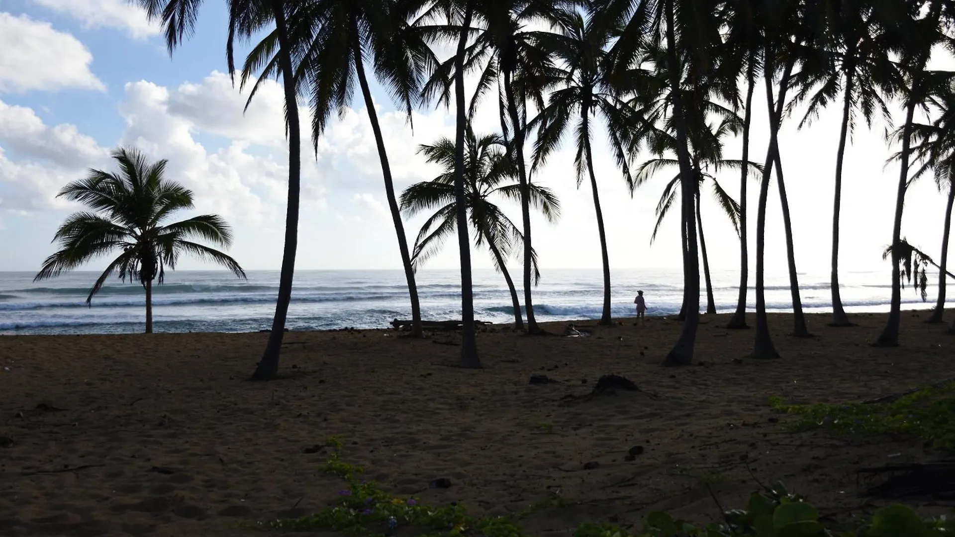 Relax @ Bavaro Beach, Bibijagua Punta Cana 0*,  Dominican Republic