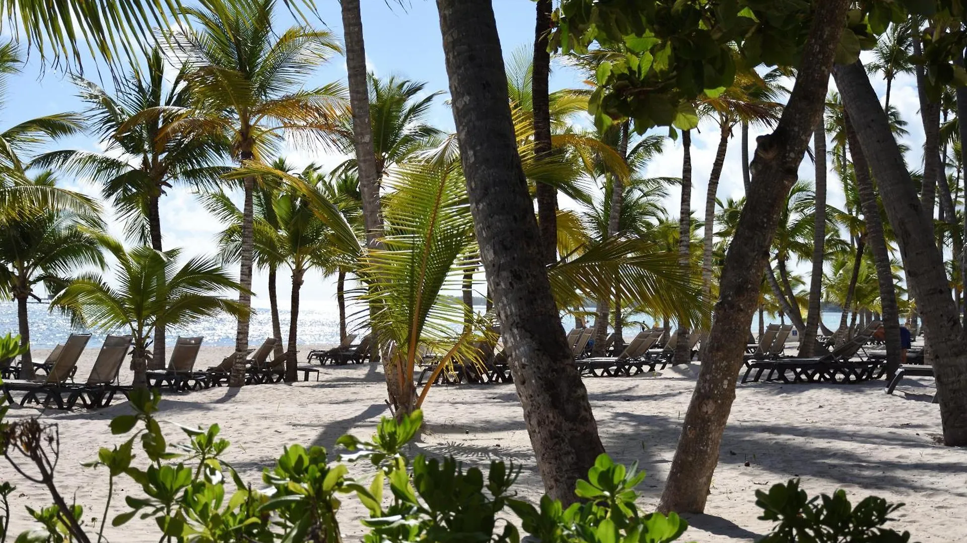 Relax @ Bavaro Beach, Bibijagua Punta Cana Apartment